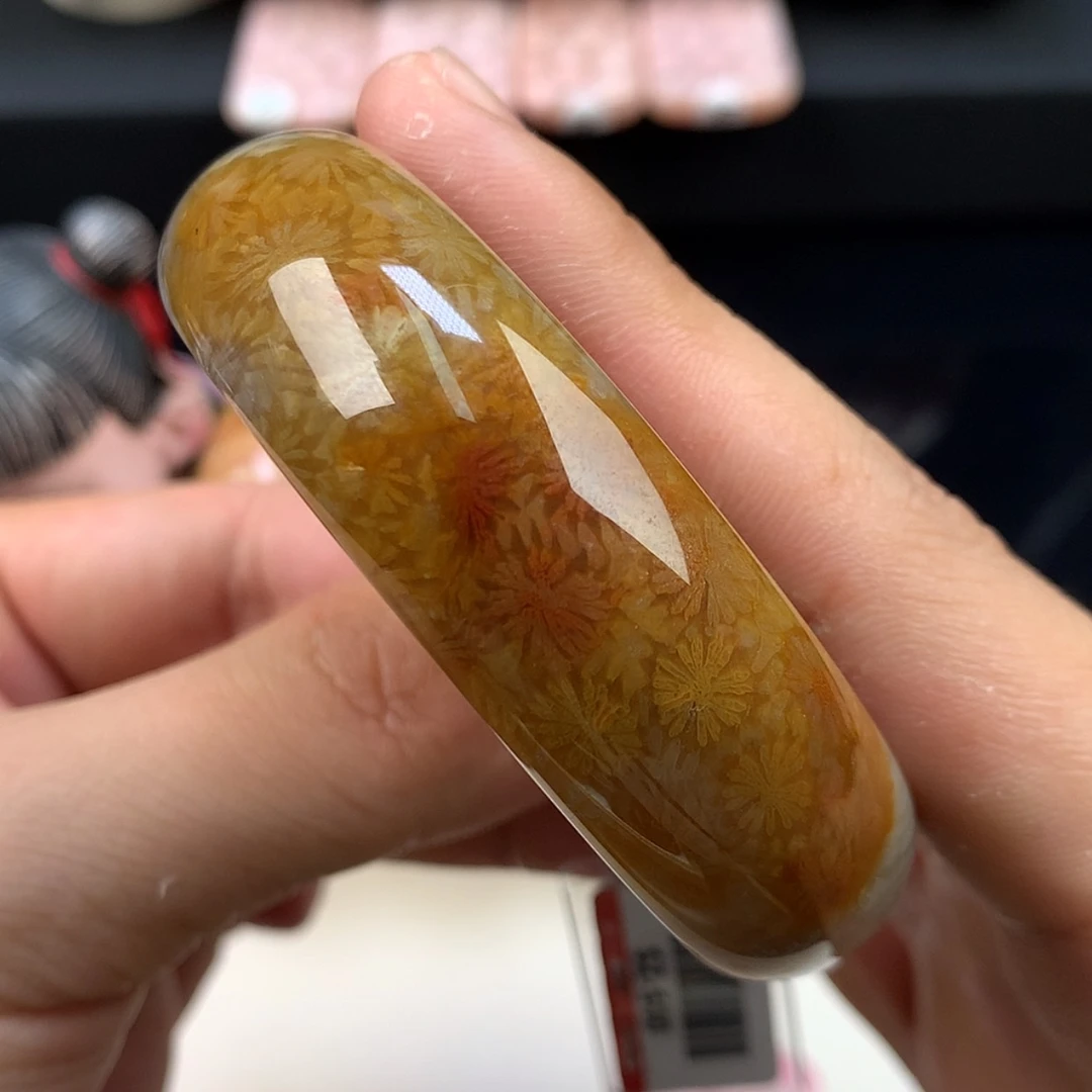 【闪购商品】硅化珊瑚（珊瑚玉）未镶嵌颈饰19号54圈赞比
