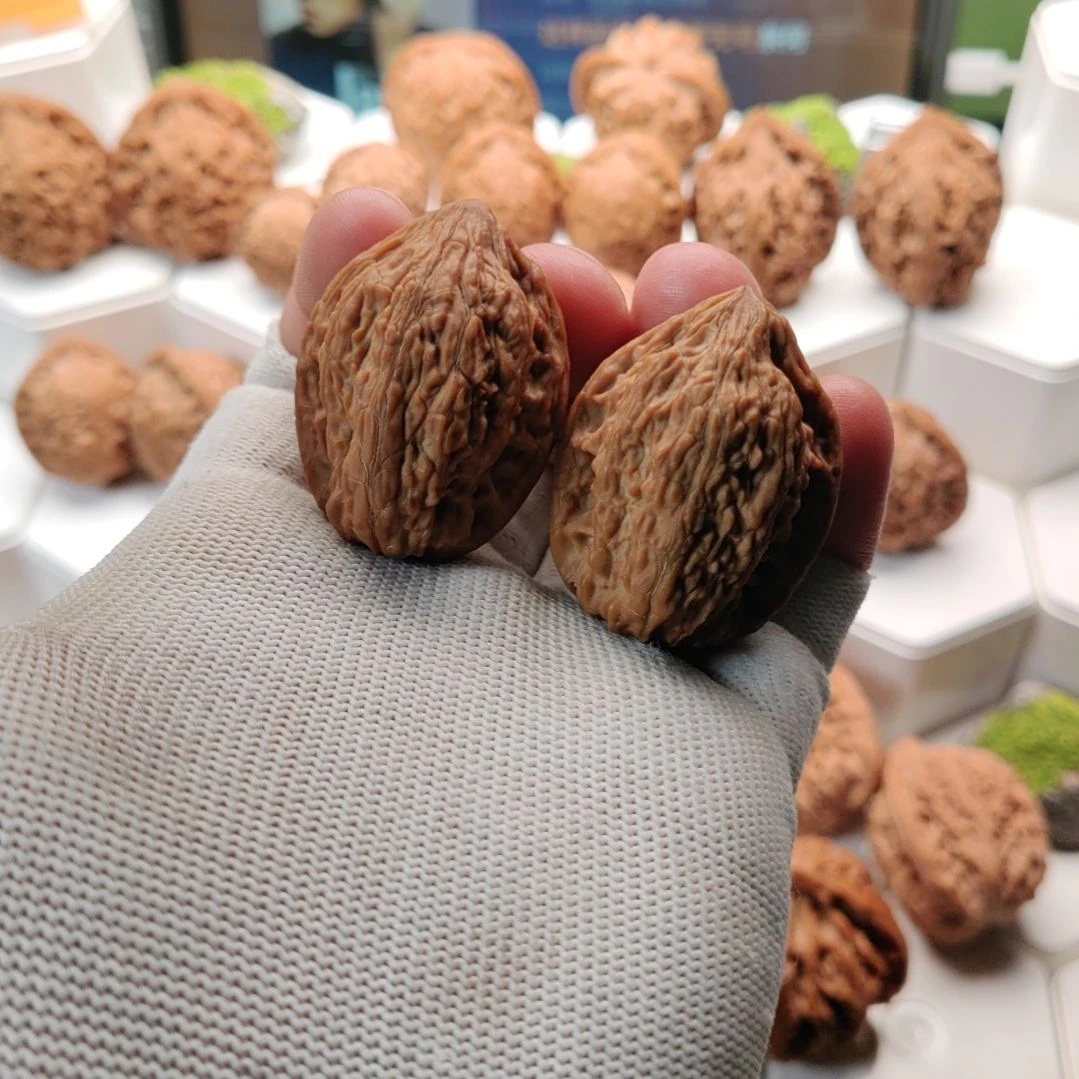 w***文玩核桃把件野生原树鸡心