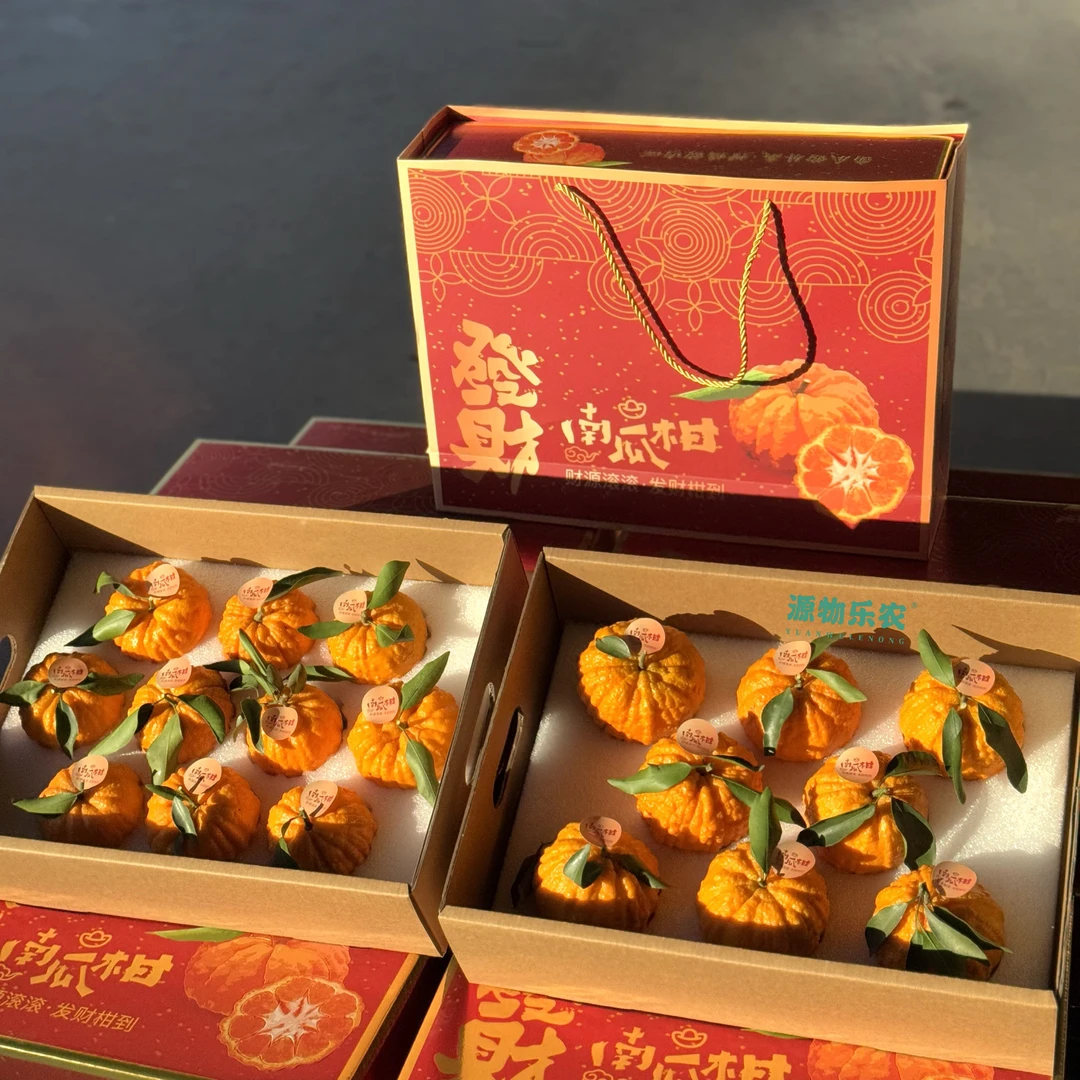 发财·南瓜柑（天地盖礼盒）