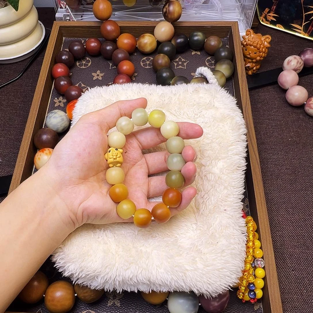 菩提根/象牙果吊坠卡15全品玉桂狗