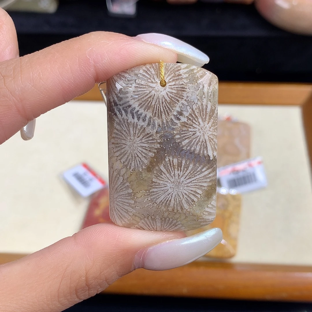 吊坠(赠链)未镶嵌硅化珊瑚（珊瑚玉）37号