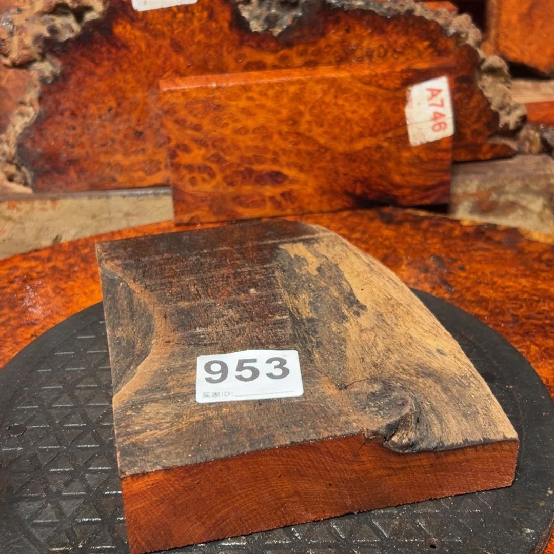 大果紫檀（缅甸花梨）