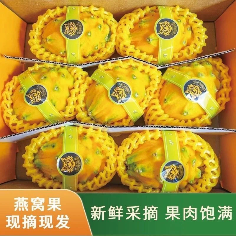 新鲜燕窝果大果特大号海南燕窝果麒麟果黄皮火龙果高档当季孕妇