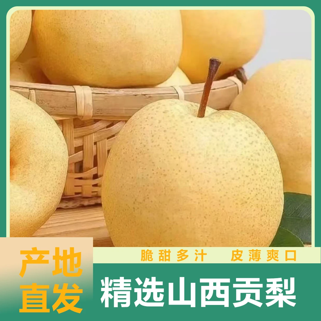 山西当季新鲜贡梨酥梨，皮薄汁多，酥脆甘甜果园现发