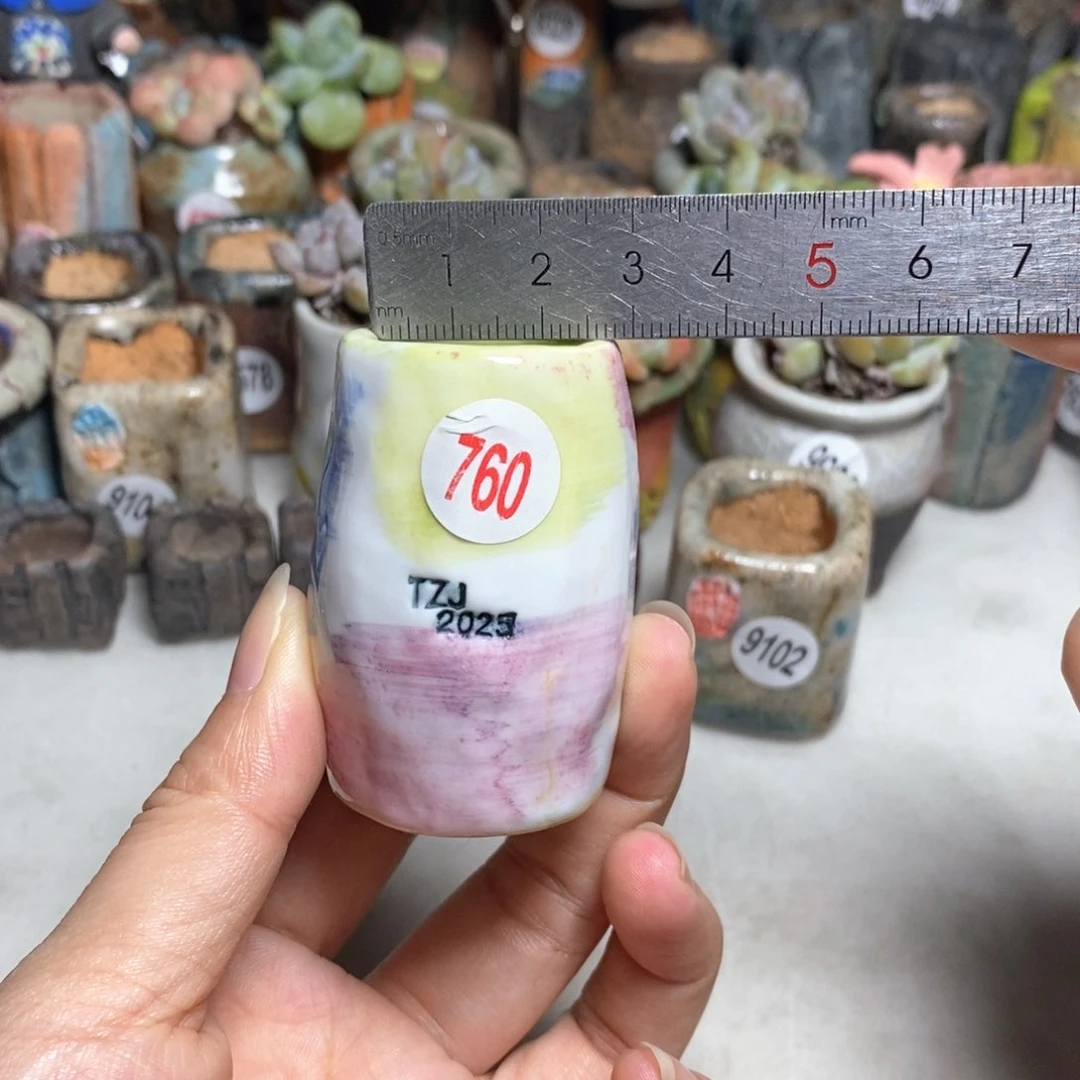 拍3送一个小礼物