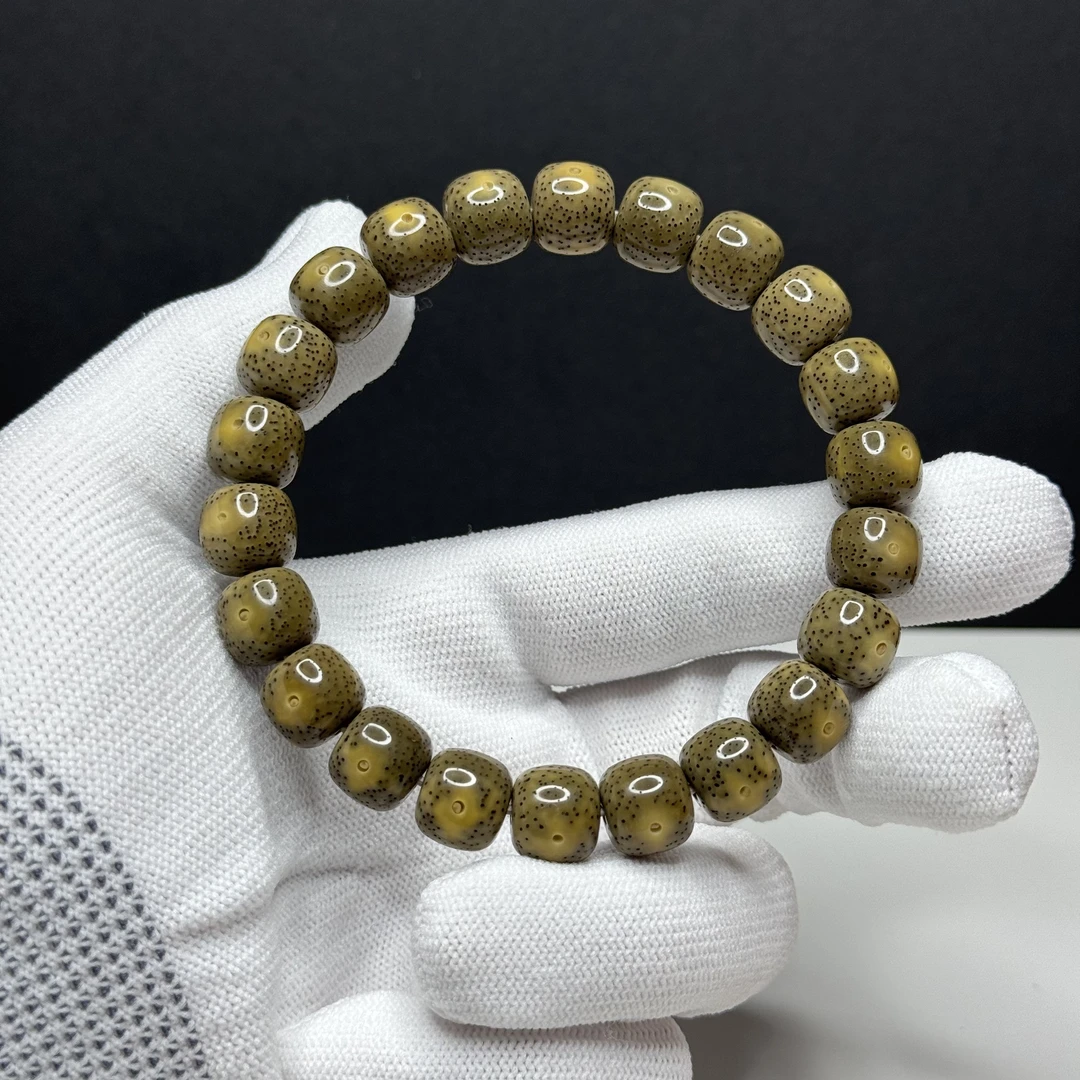 星月菩提石玉料同枝针尖牛毛星10.7x10老型桶珠单圈手串一物一图