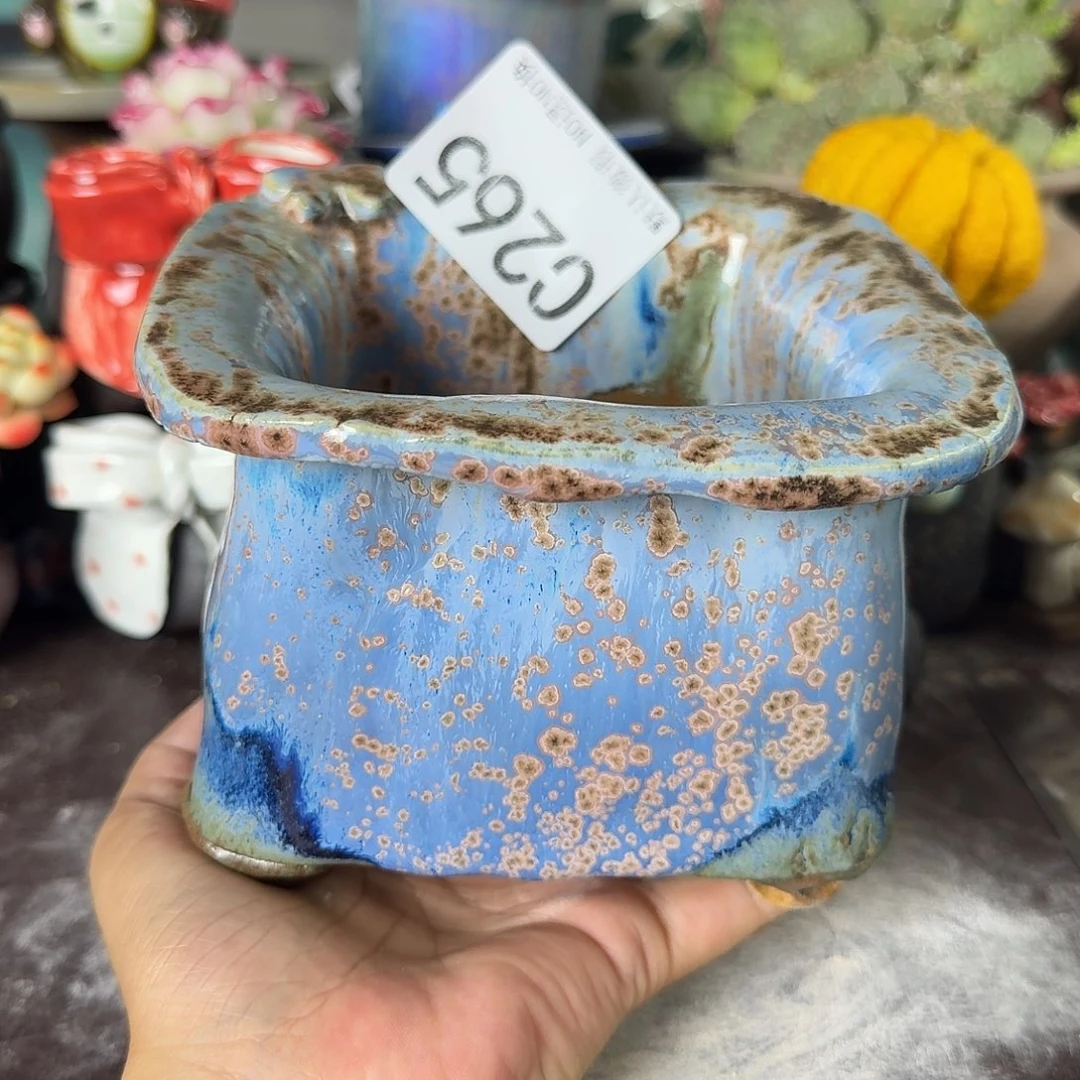 重庆小燕子欢迎大家。265