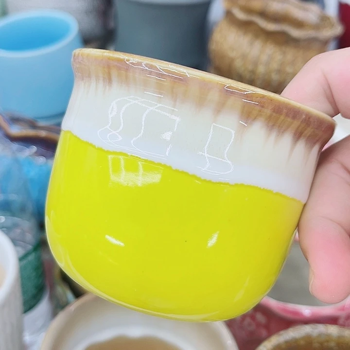 多肉植物陶瓷花盆