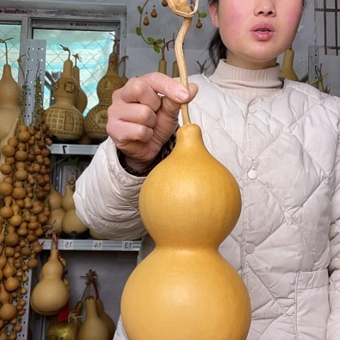 三***果天然植物葫芦文玩