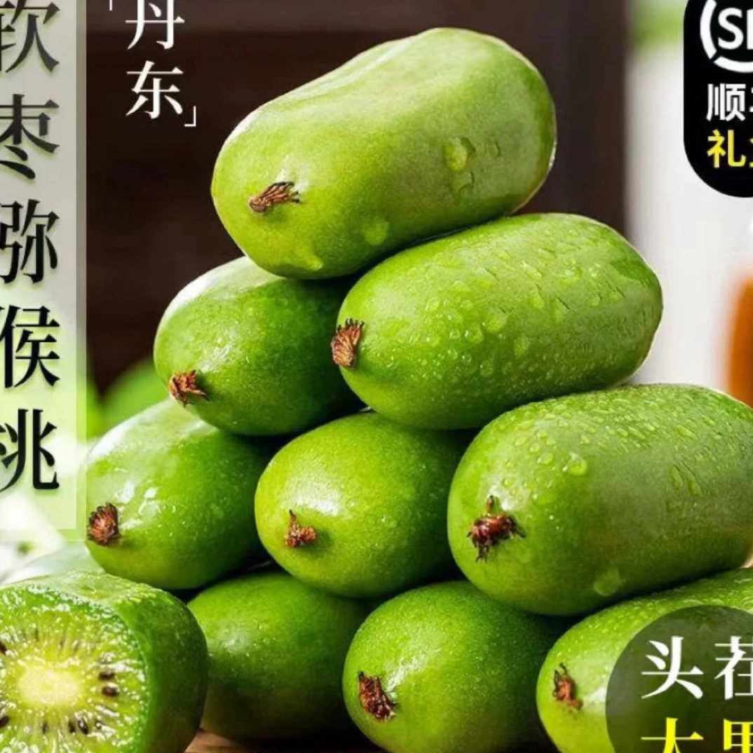 辽宁丹东自家果园树熟软枣猕猴桃龙成2号