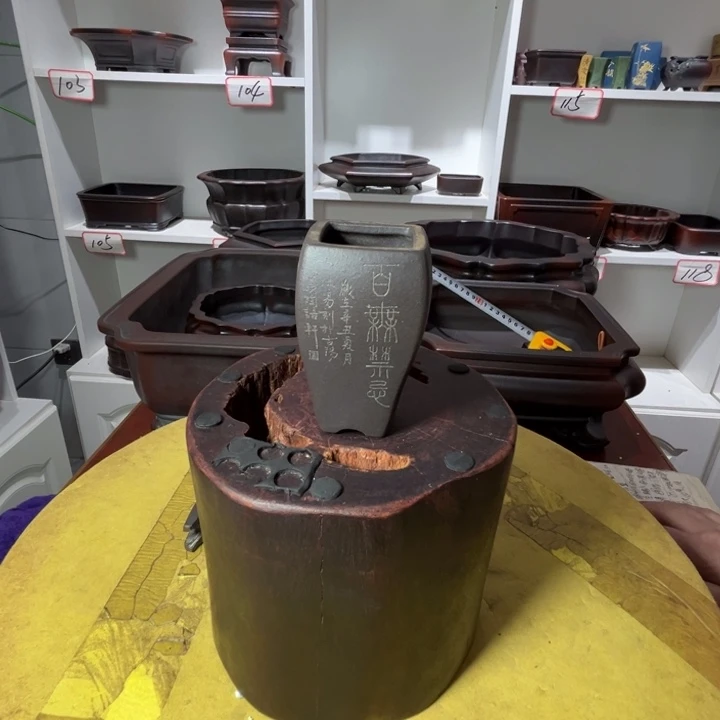 月***了紫砂花盆11111111