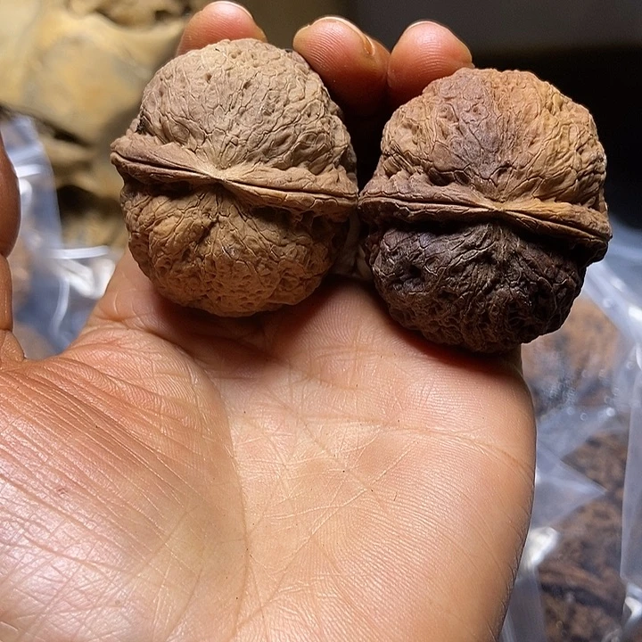 把件文玩核桃云南铁核桃基地77