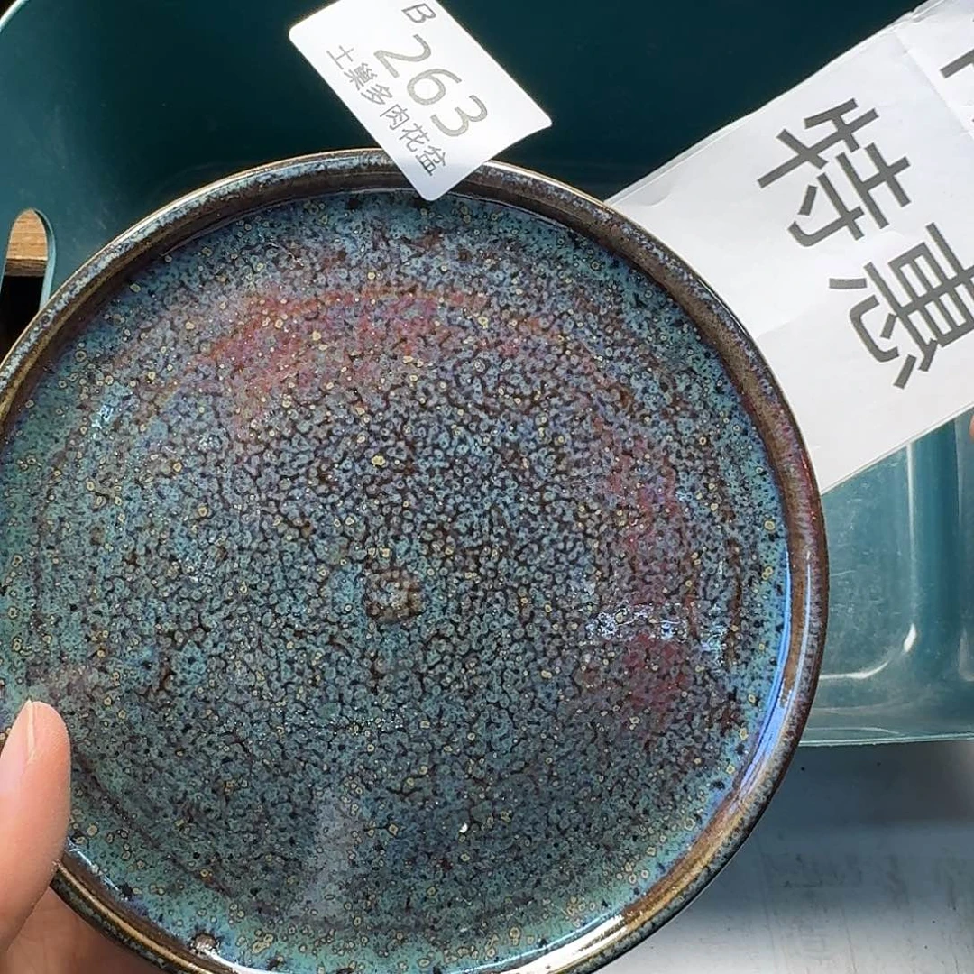 罐陶瓷艺术与工艺