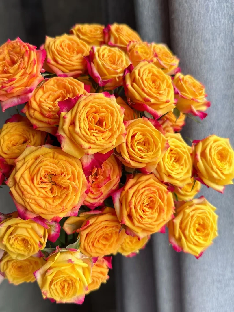 【源头一手价】小头新品失地之火泡泡一把   多头玫瑰  云南基地