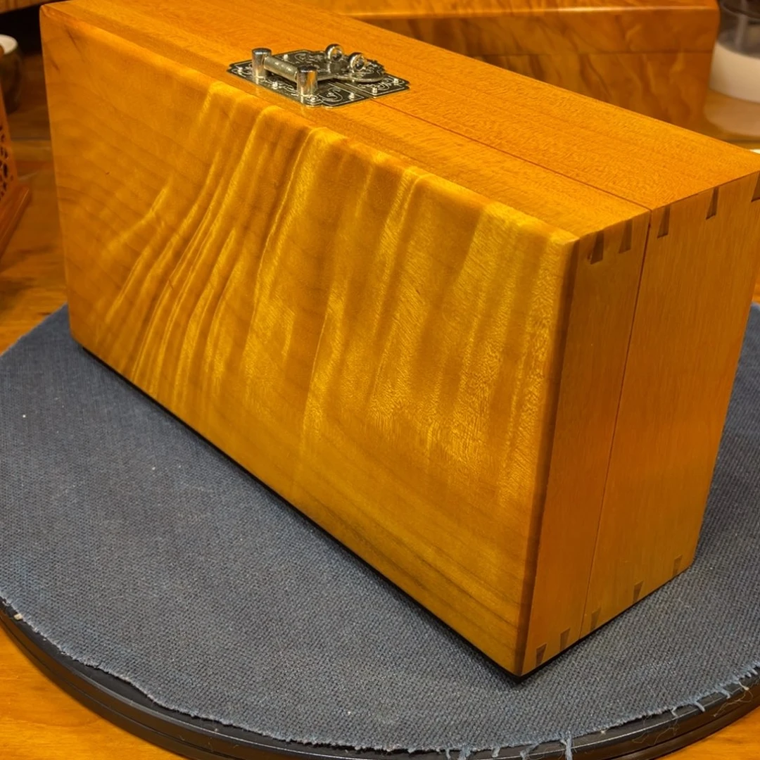 金丝楠30cm凤尾金丝楠木小叶桢楠