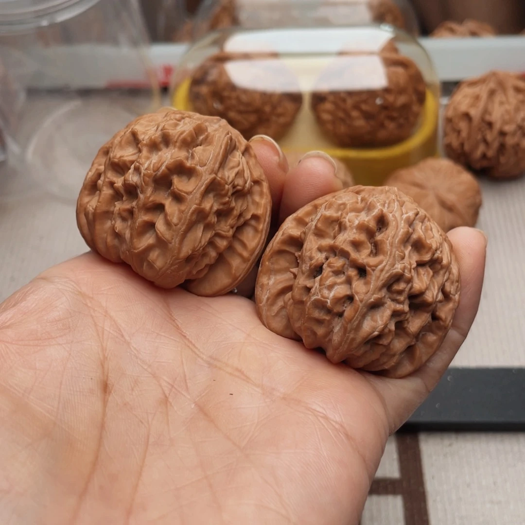 呼**呦41白狮子是什么意思哈哈