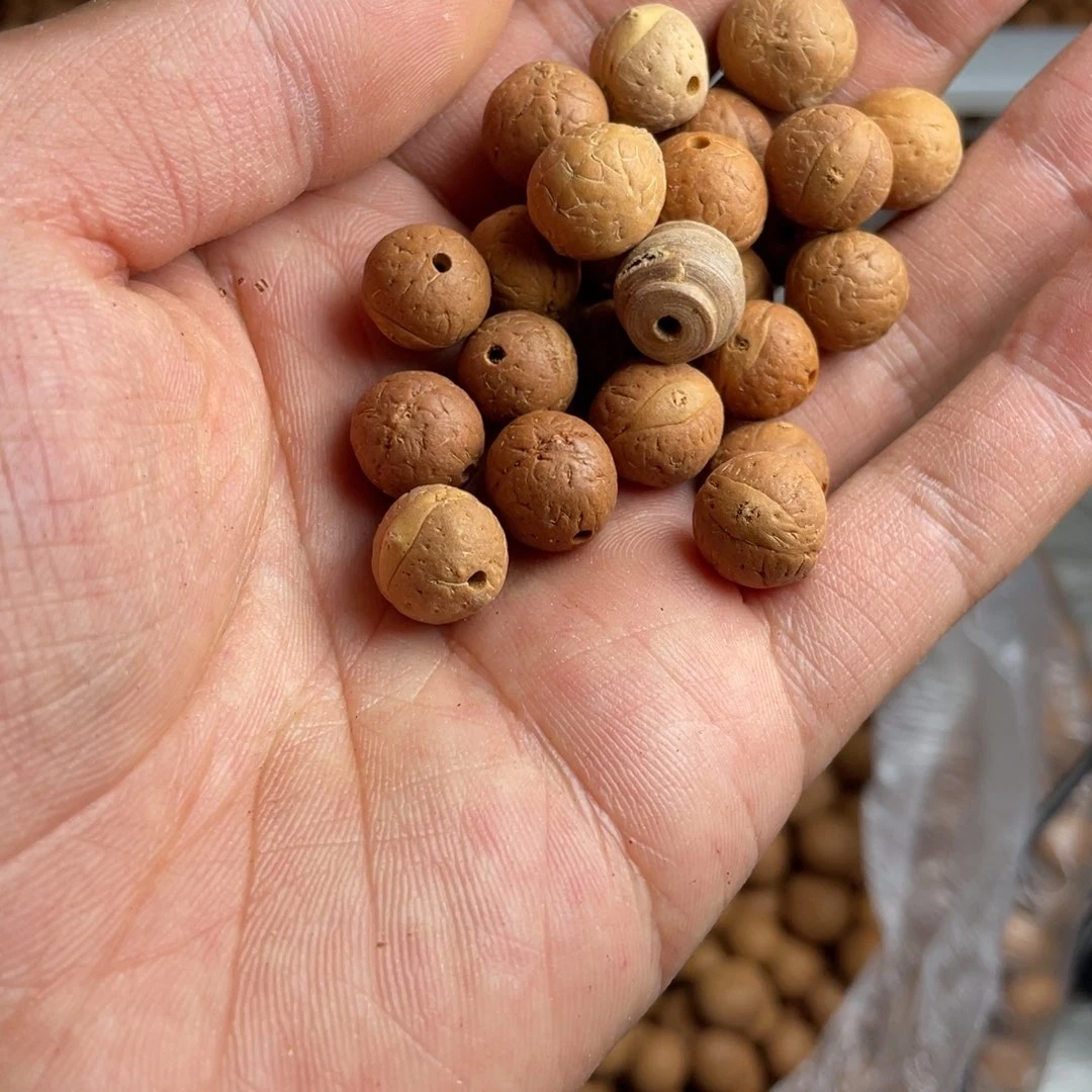 凤眼菩提吊坠11➕散籽1000颗