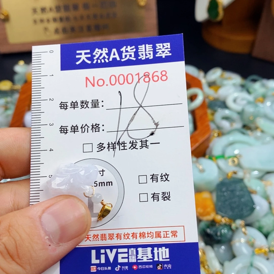 颈饰未镶嵌翡翠1868