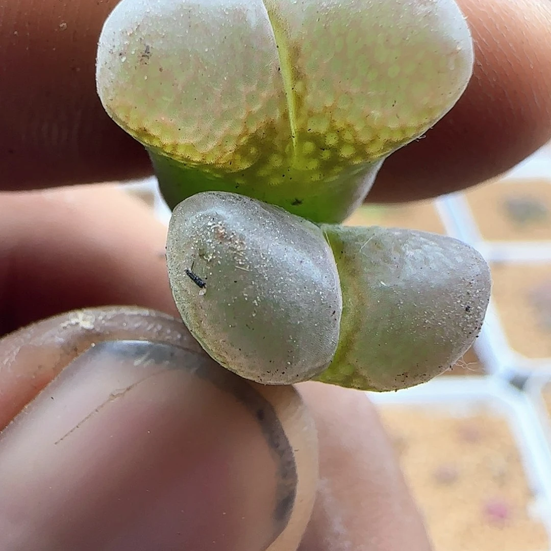 哈哈哈哈哈哈哈哈42479