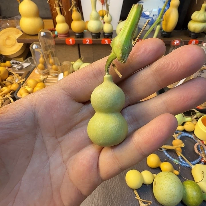 呜***提葫芦一枚绕指柔葫芦