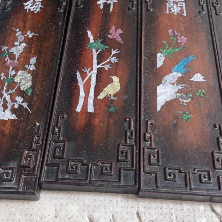 露***情木拍拍拍拍拍拍拍拍