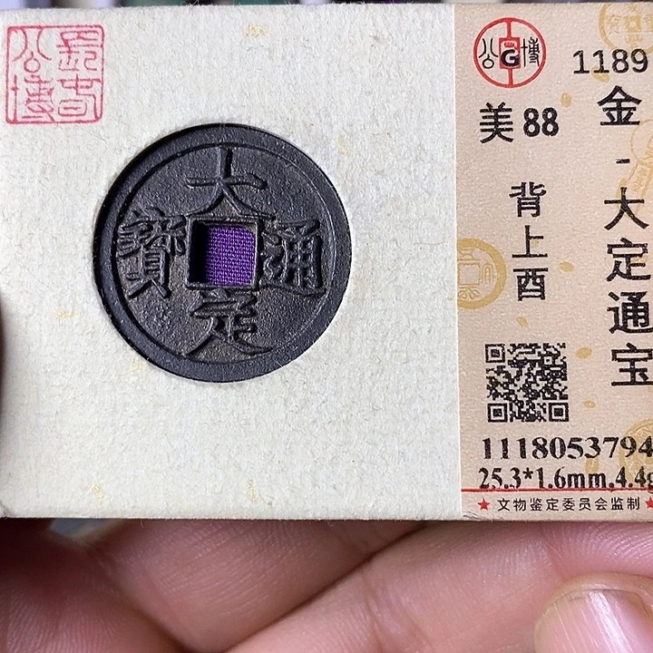 铜大定通宝元定泉藏