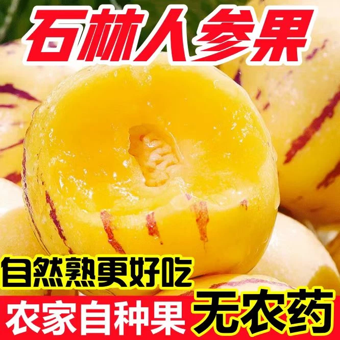 【超底价】黄肉圆果石林人参果自然熟新鲜应季低糖孕妇老人水果包邮