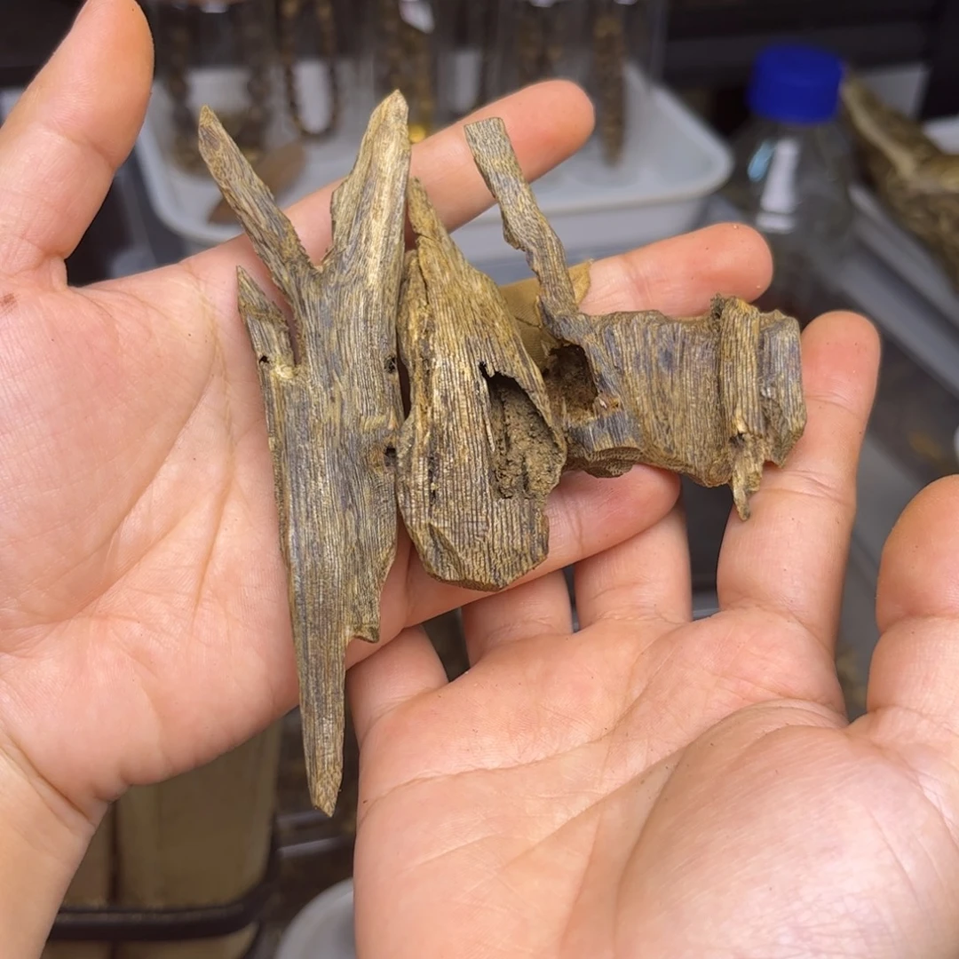 沉香沉香碎屑奇楠沉香熏香黑棋虫漏18克