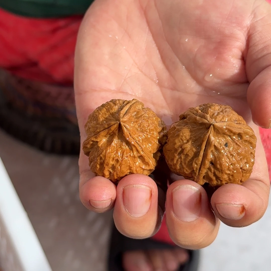 把件文玩核桃铁35号火玉三棱