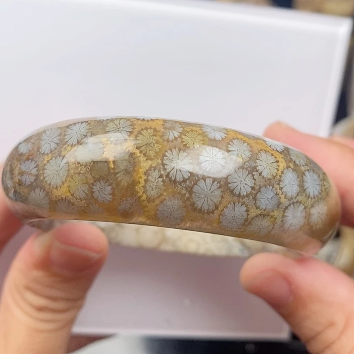 未镶嵌手镯硅化玉