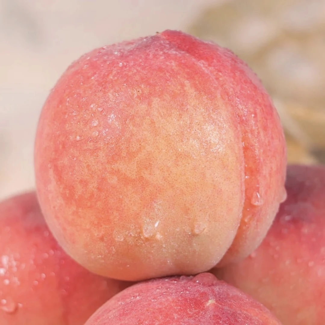 【省内专拍】甘肃天水秦安水蜜桃仓方早生脆甜多汁一桃两吃