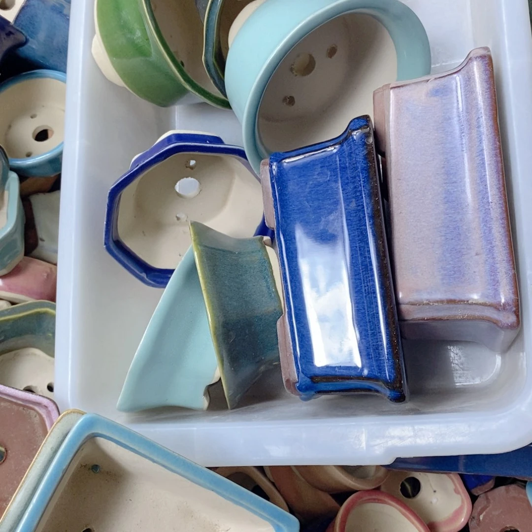 红陶亮*11111111111111