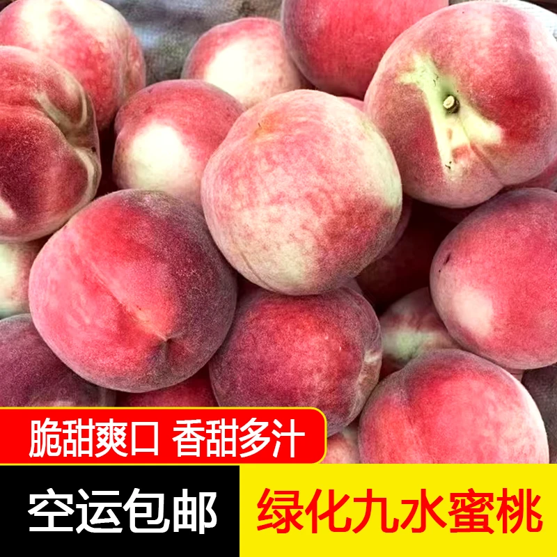 新鲜绿化九水蜜桃应季水果脆甜爽口香甜多汁果味浓郁4斤空运包邮