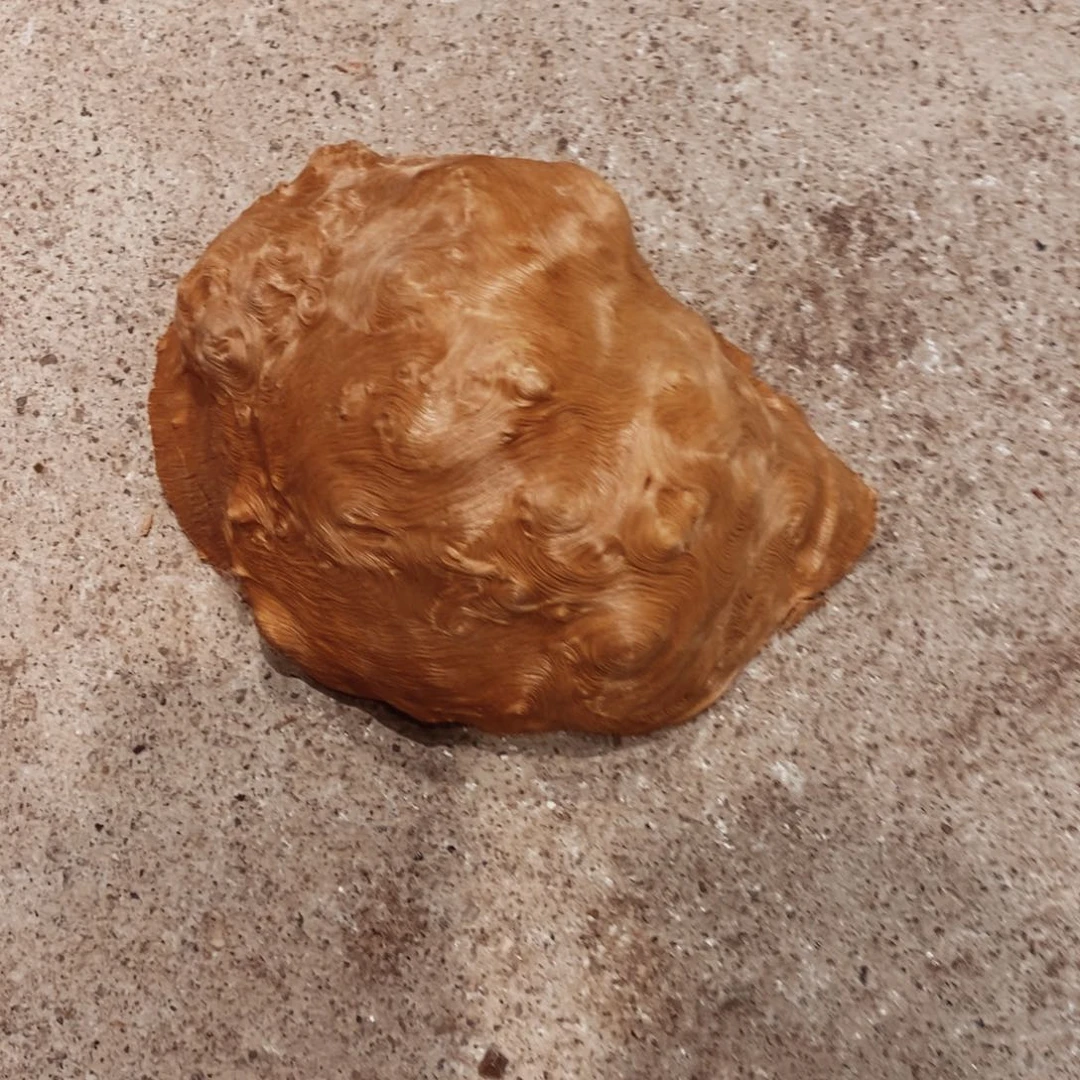 童***瓷荔枝木随形木材一个