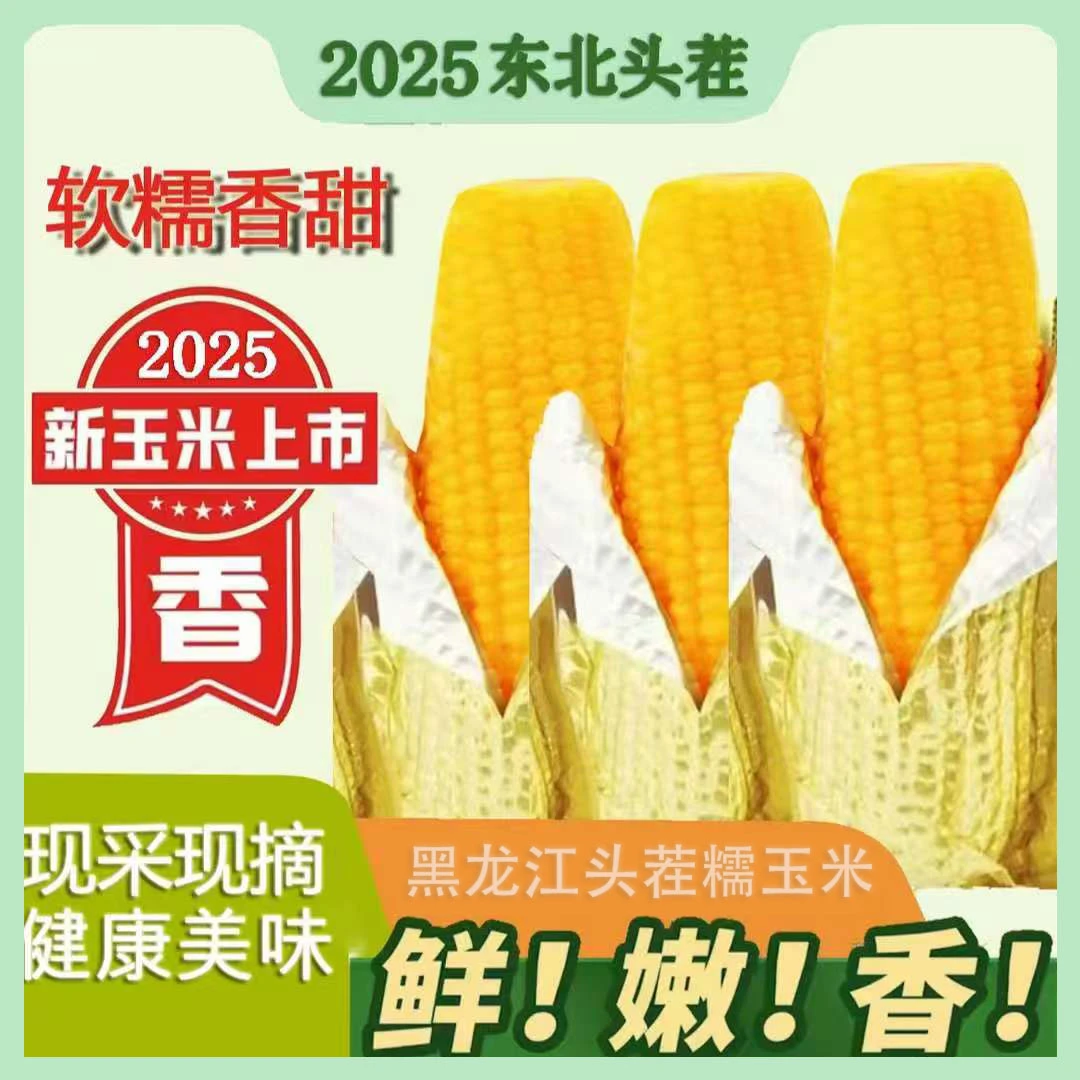 【试吃2支】2025年东北头茬糯玉米整箱8支早餐代餐软糯香甜玉米