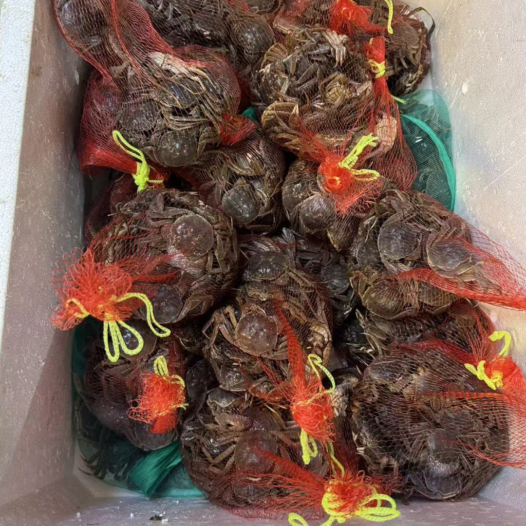 一元蟹公母都有10两（一斤装）