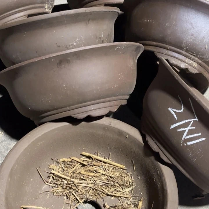 花盆紫砂100-7。  27.11。