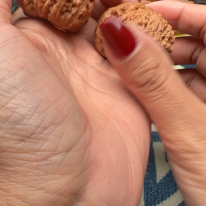 吊坠桃核文玩泥鳅背