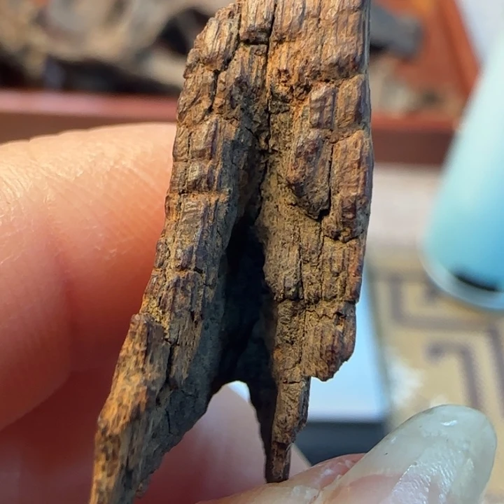 沉香摆件海南沉水鸡母虫0.94克