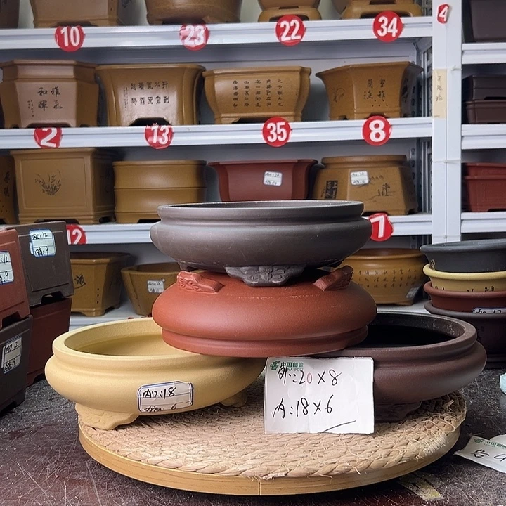 紫砂花盆蛇年大吉