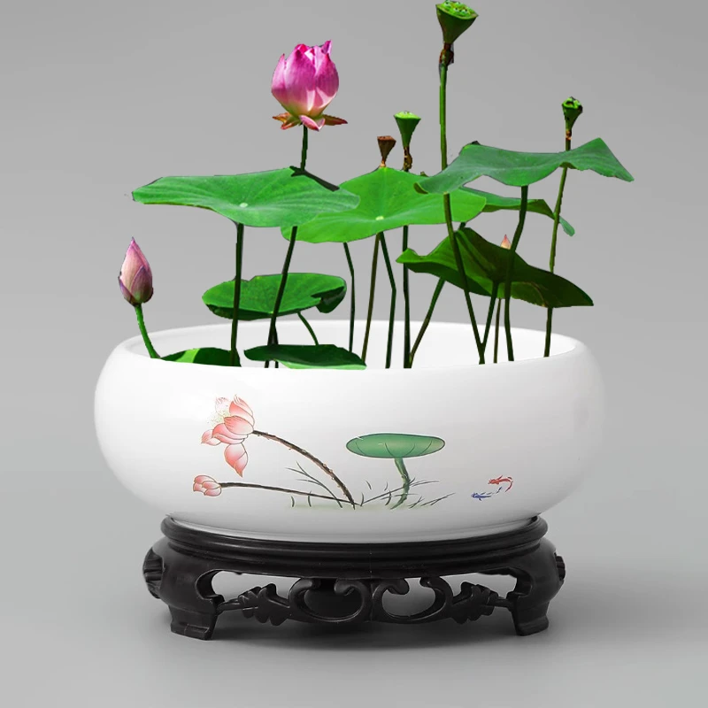 多款大号碗莲专用盆无孔花盆睡莲一叶莲缸铜钱草复古陶瓷盆水培盆