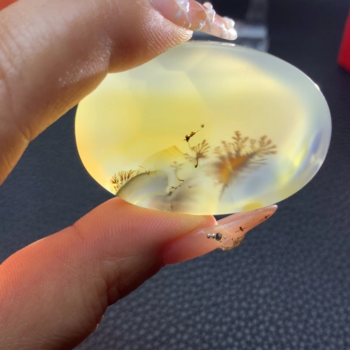 張***靈玛瑙/玉髓未镶嵌颈饰