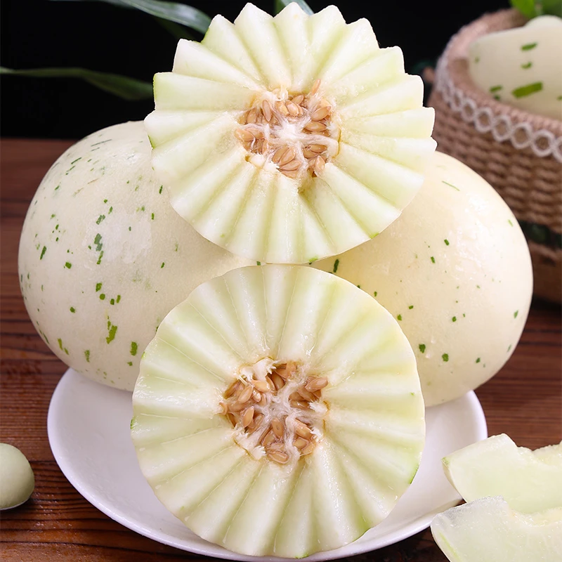 山东月露流星蜜瓜冰淇淋甜瓜4.5-7斤新鲜应季水果产地直发