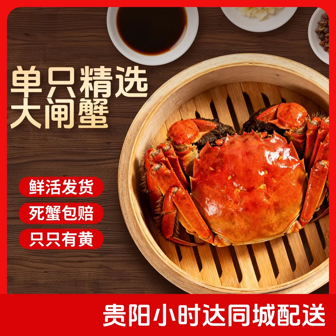 【活蟹】单只精挑细选精品大闸蟹（母蟹3-4两，公蟹3.5-4.5两）