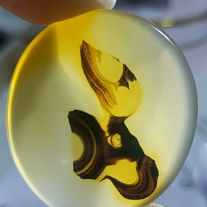 天***头玛瑙/玉髓未镶嵌珠宝奇石