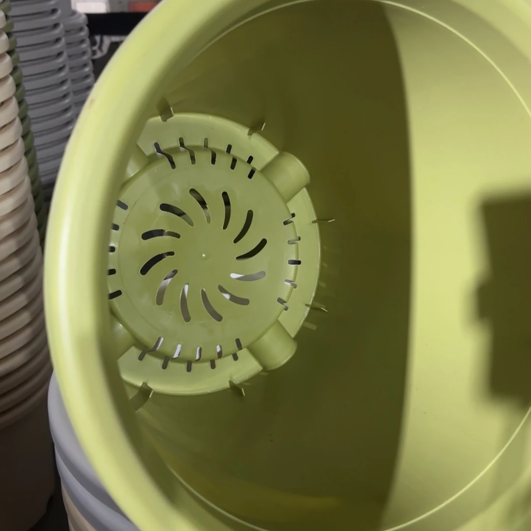 树脂四季8号果绿3个带拖