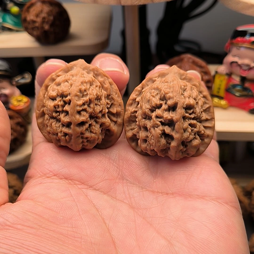 全品三角蚂蚁沟40尺