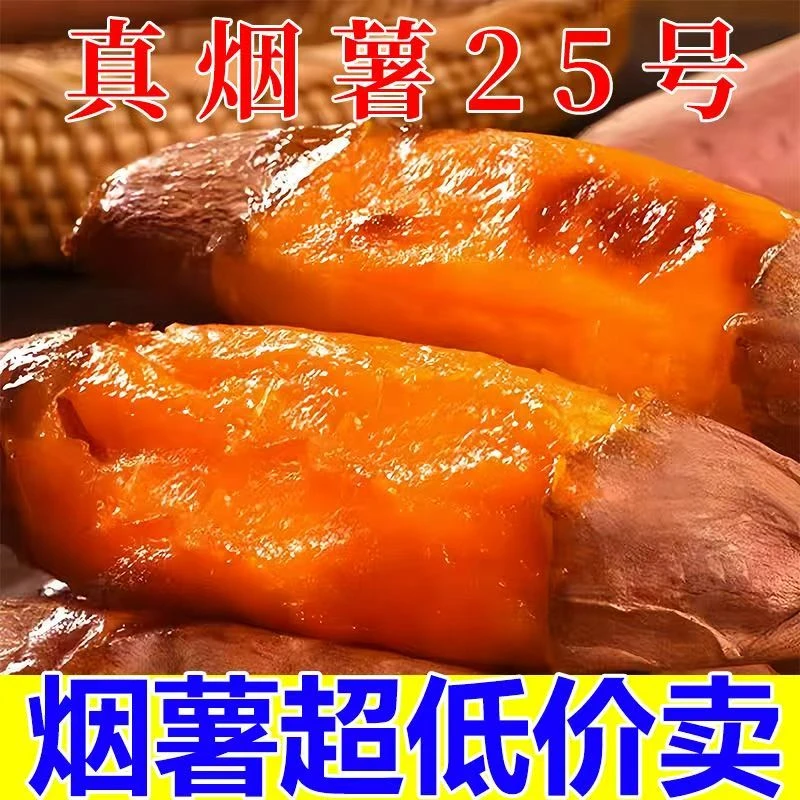 山东烟薯25号糖心蜜薯流油流蜜香甜新鲜采摘可蒸煮可烤地瓜烤红薯