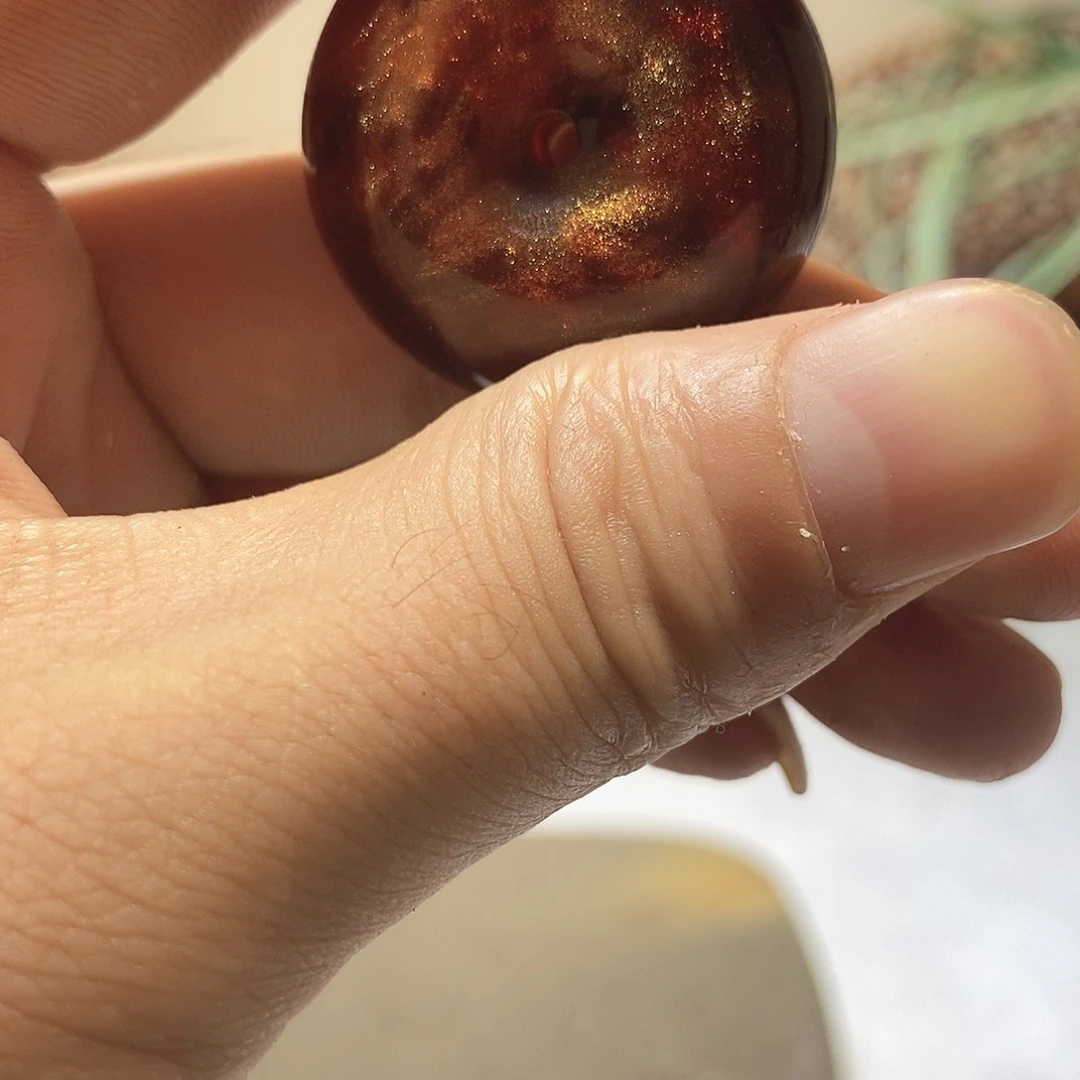 香榧木0000000000000000619