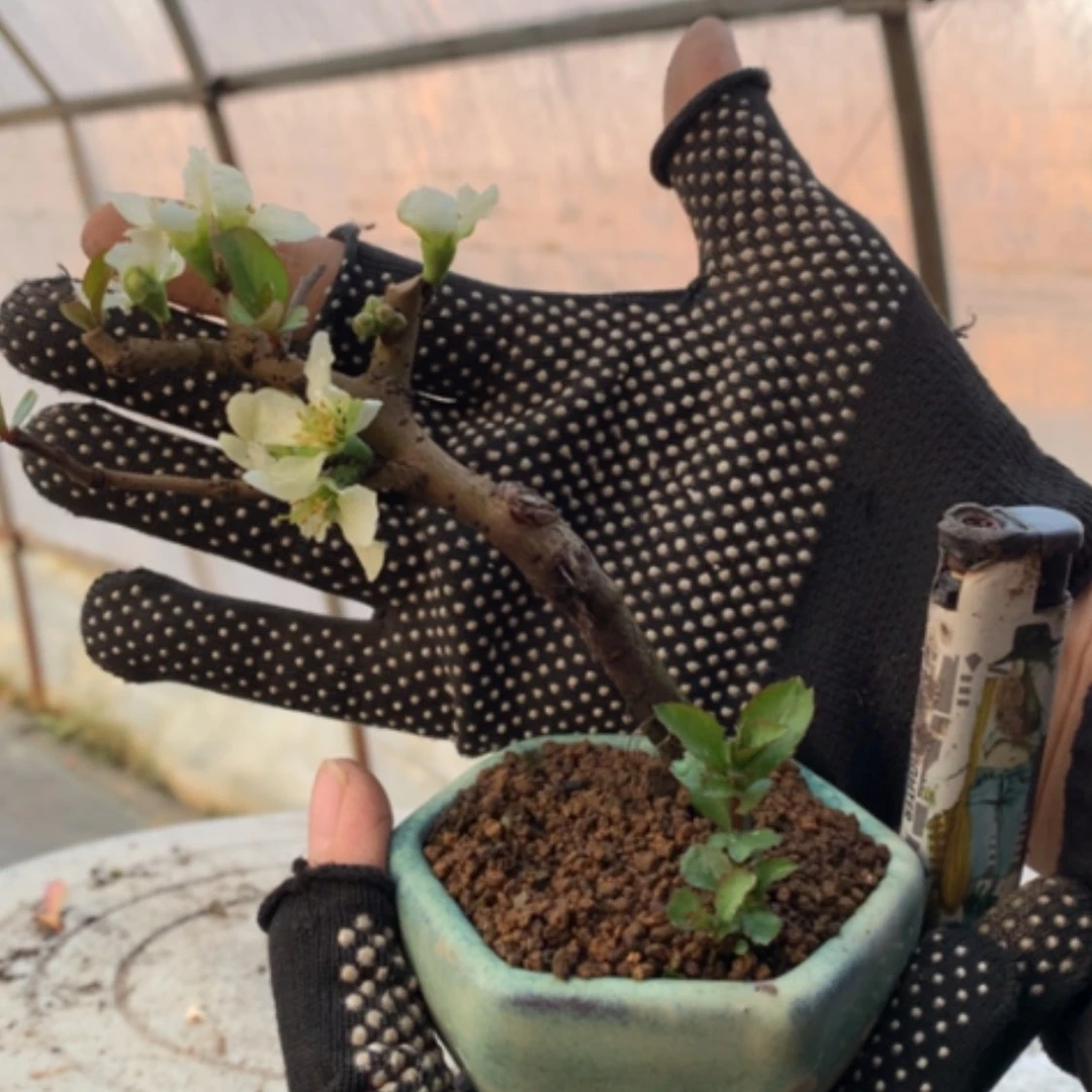 【闪购商品】@****鱼随单